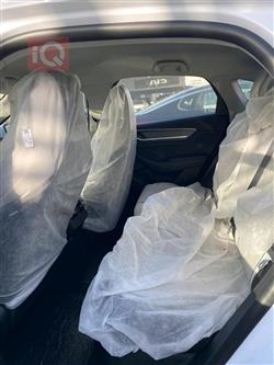 بی وای دی دیسترۆیەر 05